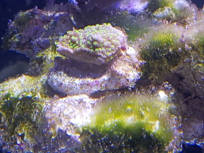 20160816_205338.jpg