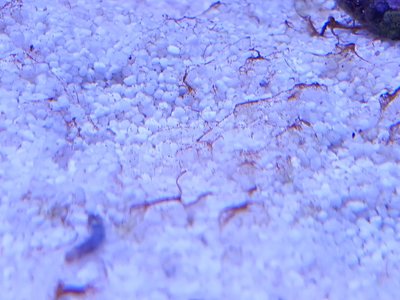 20160816_205441.jpg