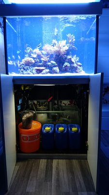 DSC_0650.jpg