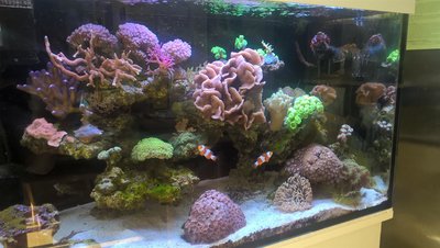 2016-08-30.jpg
