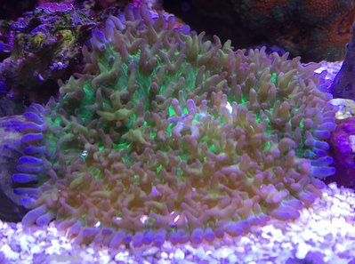 IMG_2156.jpg