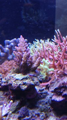 DSC_1049.jpg