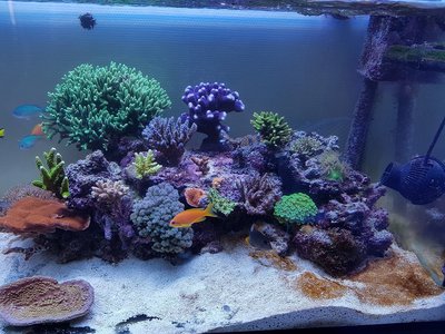 Aquarium rechts.jpg