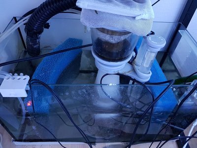 Filterbecken..jpg