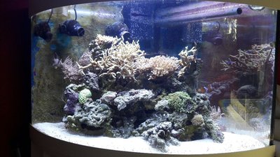 20160912_172334_resized_1.jpg