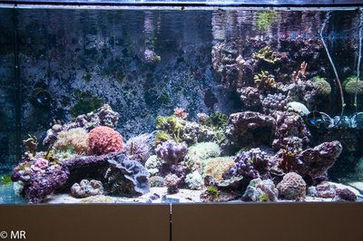 20160926-MR-8209.jpg
