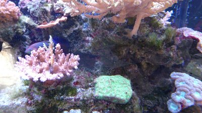 DSC_1108.jpg