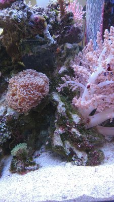 DSC_1109.jpg