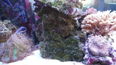 DSC_1110.jpg