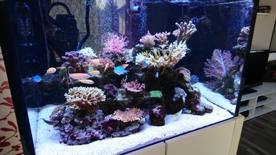DSC_1111.jpg