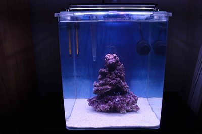 Nano1.jpg (276.17 KiB) 18152 mal betrachtet Hier ein Foto, damit ihr eine Vorstellung von meinem Nano bekommt.