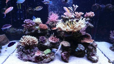 DSC_1117.jpg