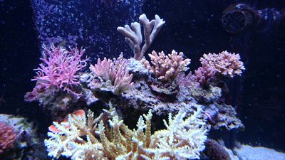 DSC_1118.jpg