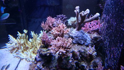 DSC_1119.jpg
