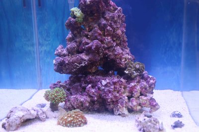 Nano1_bearbeitet-1.jpg
