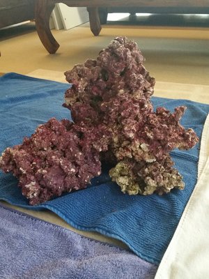 Real Reef Rocks