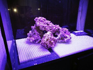 IMG_20161027_175609-320x240.jpg