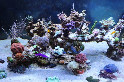 IMG_3859.JPG
