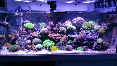 20161025_193038_49811.jpg