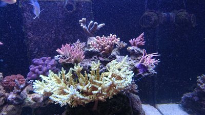 DSC_1275.jpg