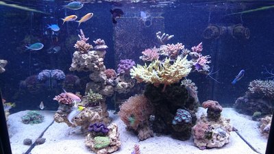 DSC_1274.jpg