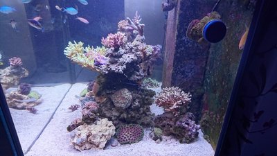 DSC_1279.jpg