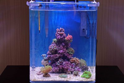 Nano3.jpg