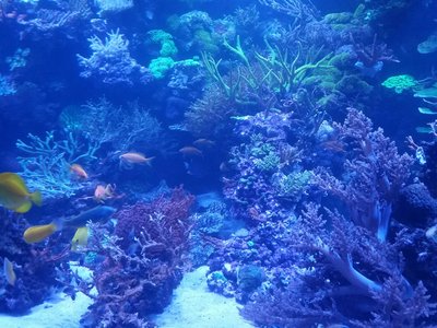 20161106_190105_resized.jpg