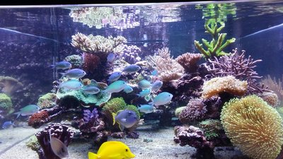IMG-20161113-WA0004.jpg