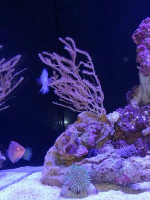 IMG_20161115_171553-1785x2380.jpg