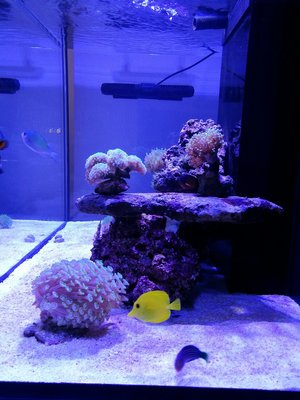 IMG_20161115_171913-1785x2380.jpg
