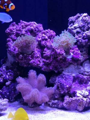 IMG_20161115_171735-1785x2380.jpg