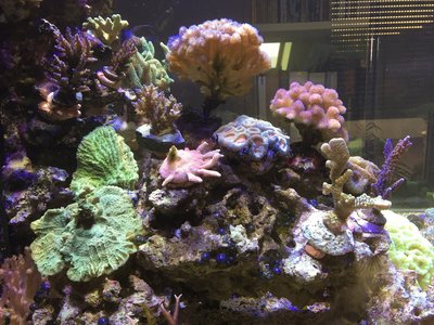 IMG_1169.jpg