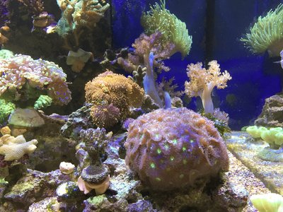 IMG_1170.jpg