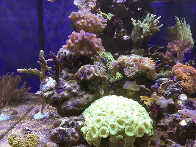 IMG_1171.jpg