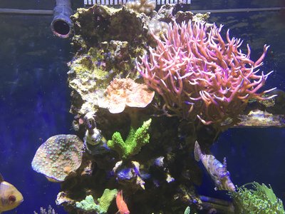 IMG_1172.jpg