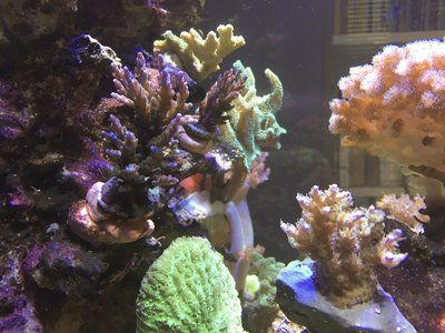 IMG_1173.jpg