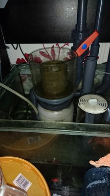 DSC_1353.jpg