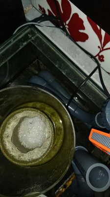 DSC_1355.jpg