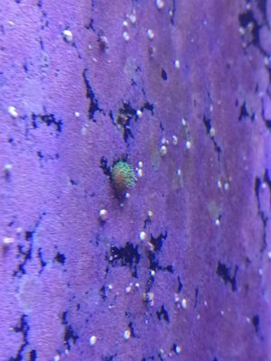IMG-20161125-WA0013.jpg