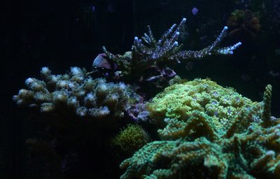 004.jpg