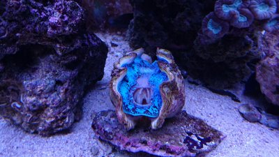 DSC_1417.jpg