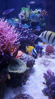 IMG-20161009-WA0002.jpg
