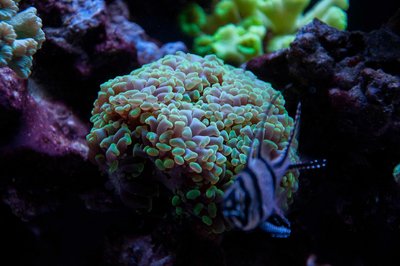 20161204-DSC_5013.jpg