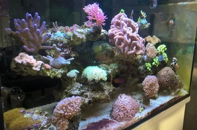 WP_20161210_11_51_19_Pro.jpg