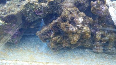 IMG-20161213-WA0022.jpg