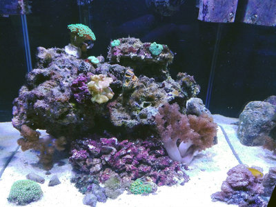 cube-002.jpg