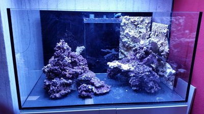 2016-12-30 19.50.20.jpg