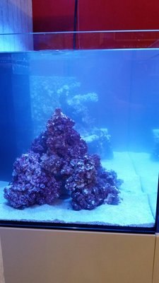 2016-12-30 21.38.49.jpg