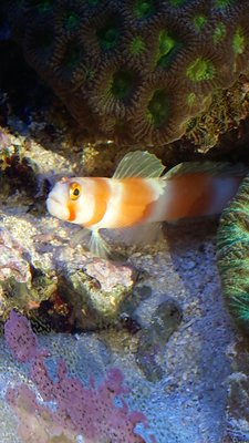 20161231_140937.jpg